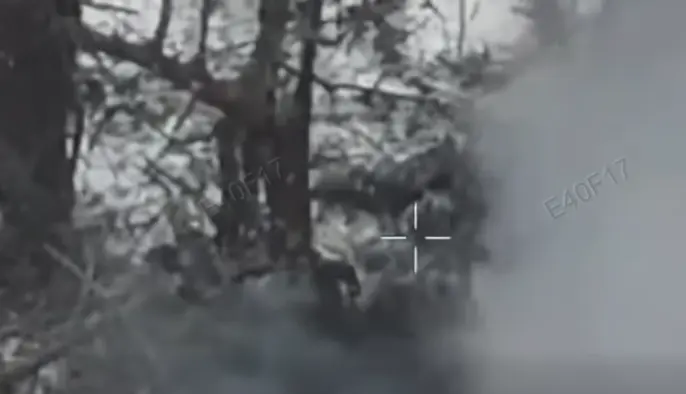 Украинские десантники не дают армии РФ пройти к двум селам на Харьковщине: детали