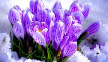 Какими будут первые выходные весны: прогноз синоптика на 28 февраля – 1 марта