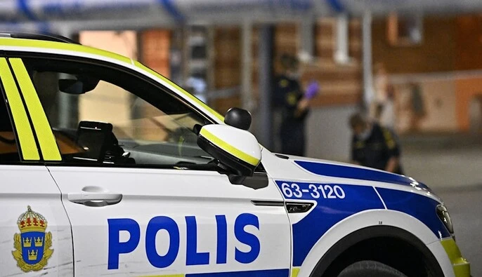 Поліція та цивільна оборона Швеції готуються до можливої атаки на енергетику