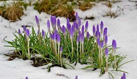 1 марта — какой сегодня церковный праздник, история, традиции и приметы