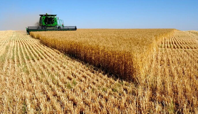 Война обвалила рентабельность российского агросектора до 10% - экономист
