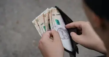 В Раде раскрыли детали нового механизма индексации пенсий