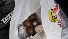 В Сумской области офицеру одной из воинских частей объявили подозрение в хищении оружия