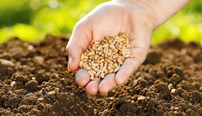 Украинский агросектор готовится к сложной посевной: эксперт о минировании полей и дефиците ресурсов