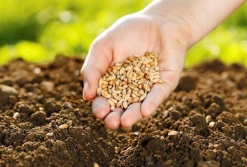 Український агросектор готується до складної посівної: експерт про мінування полів і дефіцит ресурсів