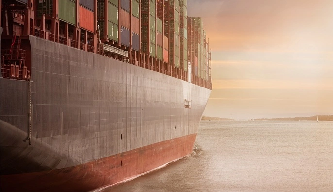 В Швеции сообщили о подозрении одному члену экипажа подсанкционного грузового судна Caffa