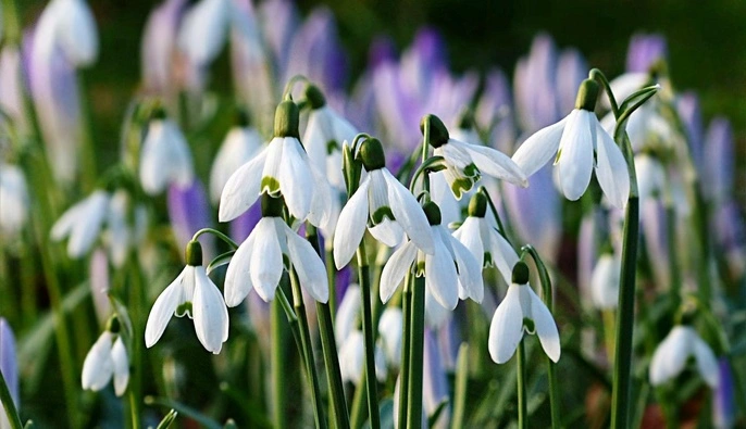 В Україну прийшло довгоочікуване потепління — подекуди відразу до +18 градусів 