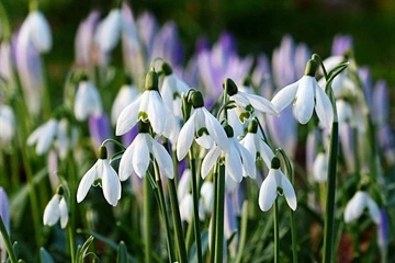 В Украину пришло долгожданное потепление — местами сразу до +18 градусов