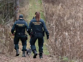 Польща та Фінляндія можуть відновити дику природу на своїх кордонах, щоб запобігти вторгненням