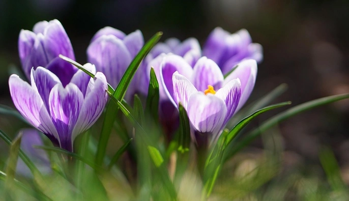 Сухо, тепло і сонячно: синоптикиня дала прогноз на четвер і розповіла, коли зміниться погода 