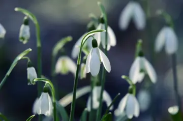 В Украину снова идет похолодание: прогноз синоптиков до конца недели