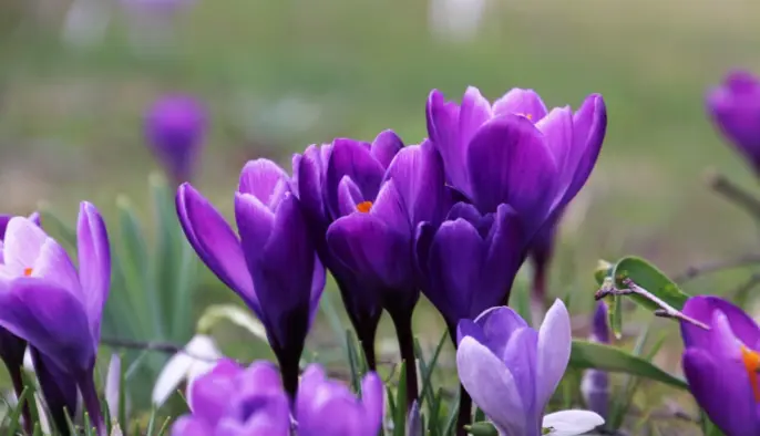 Погоду визначатиме антициклон: прогноз синоптика на вихідні 14-15 березня