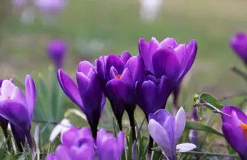 Погоду будет определять антициклон: прогноз синоптика на выходные 14-15 марта