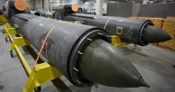 Forbes: Украинская ракета «Фламинго» меняет правила и лишает Россию преимущества в глубоком тылу