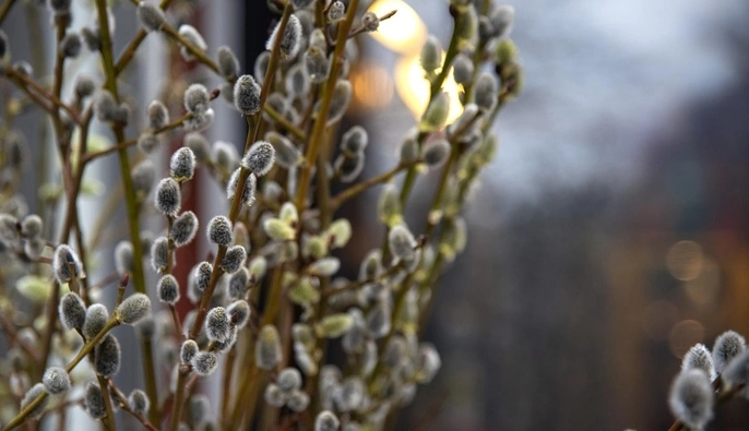 Весна бере паузу: коли і де очікується похолодання до кінця тижня 
