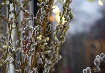 Весна бере паузу: коли і де очікується похолодання до кінця тижня 