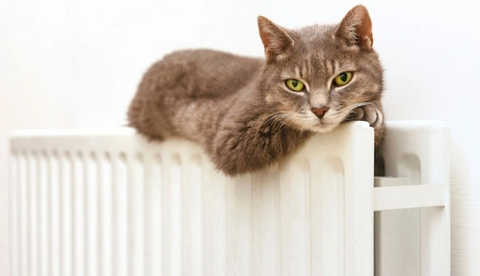 Завершение отопительного сезона в Киеве: когда в 2026 году выключат тепло