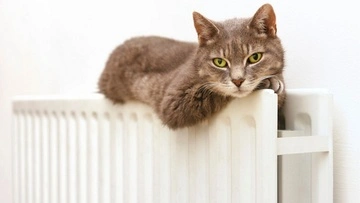 Завершення опалювального сезону в Києві: коли у 2026 році вимкнуть тепло