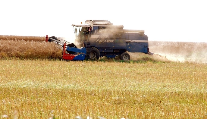 Украина может увеличить посевы рапса, если конфликт в Иране затянется — Reuters