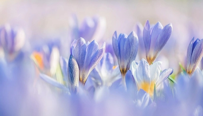 Погоду будет определять антициклон: синоптик рассказал, какими будут выходные 21-22 марта