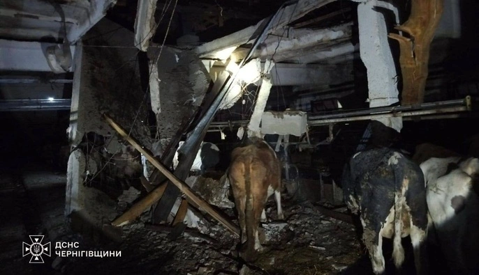 Внаслідок атаки на Чернігівщину пошкоджено сільгосппідприємство 