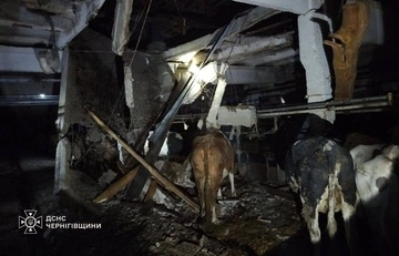 В результате атаки на Черниговщину повреждено сельхозпредприятие