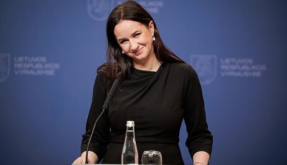 На территории Литвы упал украинский дрон, - премьер