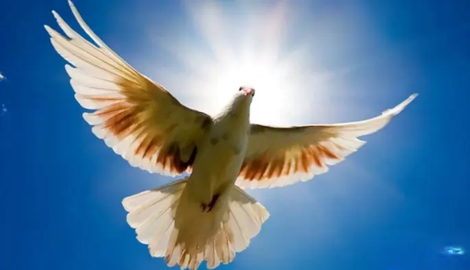 Благовещение Пресвятой Богородицы - 2026: душевные поздравления и яркие открытки к празднику