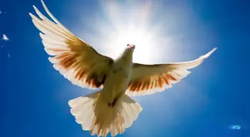 Благовещение Пресвятой Богородицы - 2026: душевные поздравления и яркие открытки к празднику