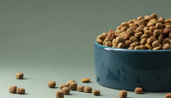 Як Purina підтримує притулки та допомагає тваринам