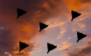 Росія перейшла до тактики безперервних атак: Ігнат розповів, чи зможе РФ підтримувати темп