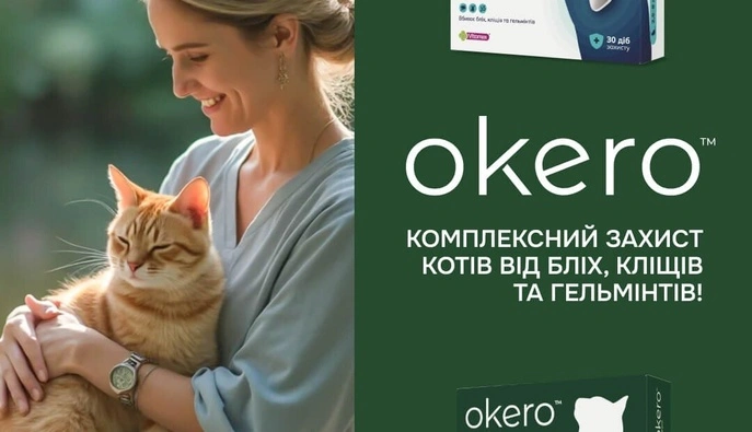 Таблетки от блох для кошек: современное решение вечной проблемы