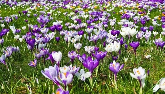 Насолоджуємось теплом: синоптикиня дала свіжий прогноз на четвер 