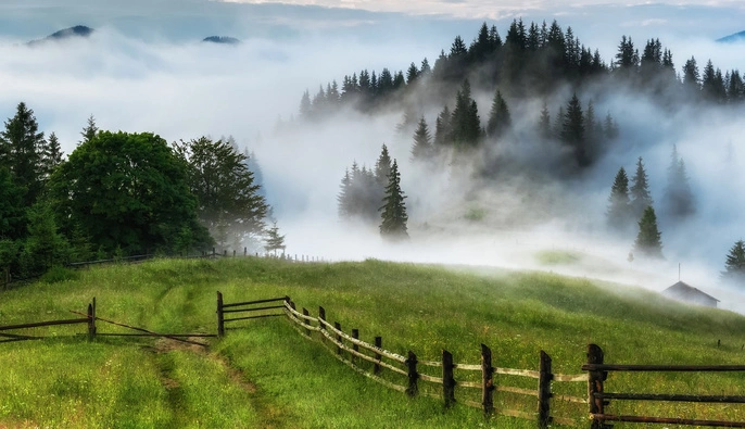 Петиція з вимогою захистити високогір’я Карпат від вітряків та хаотичної забудови набрала понад 25 000 голосів