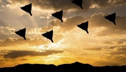 FT: Россия с начала весны тайно снабжает Иран беспилотниками и продовольствием