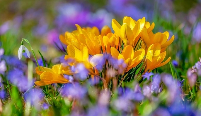 Аномальное тепло и дожди: какими будут последние выходные марта