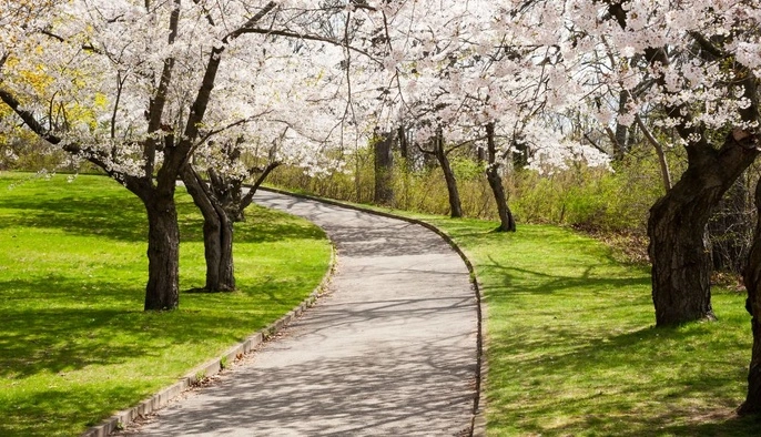 30 березня — усе про цей день: свята, події, традиції