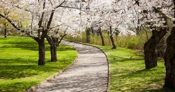 30 марта - все об этом дне: праздники, события, традиции