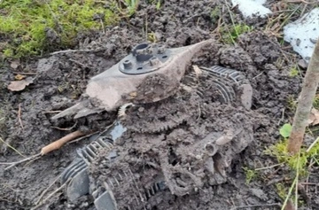 Країни Балтії закликали НАТО посилити їхню оборону після падіння українських дронів на їх території