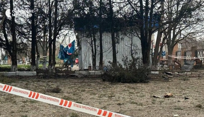 У лікарні померла 13-річна дівчинка після атаки на Миколаївщині