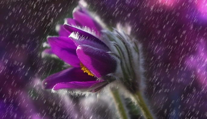 Апрель придет с теплом и дождями: синоптик дала прогноз на ближайшие дни