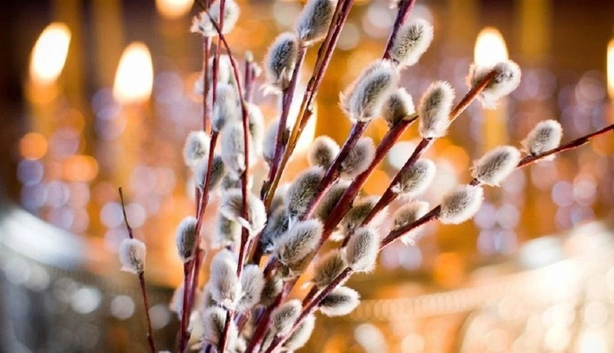 Вербная неделя: можно ли в эти дни работать на огороде