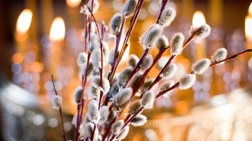 Вербная неделя: можно ли в эти дни работать на огороде