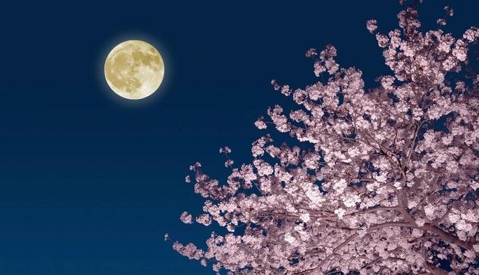 Рожева повня у квітні стане поворотним моментом в житті для трьох знаків Зодіаку 