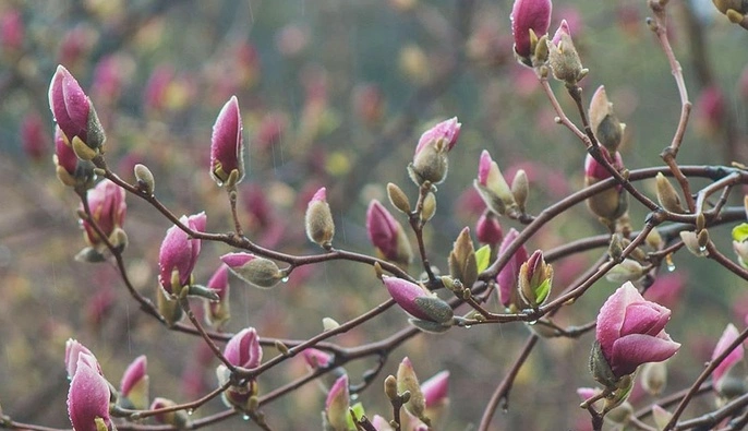 В Украину идет резкое похолодание: синоптик назвала даты