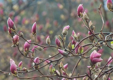 В Украину идет резкое похолодание: синоптик назвала даты