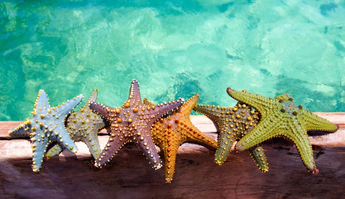 3 апреля — все об этом дне: праздники, события, традиции