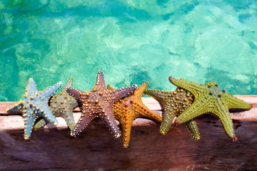 3 апреля — все об этом дне: праздники, события, традиции