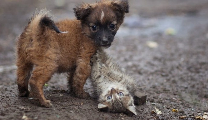 4 квітня — усе про цей день: свята, події, традиції