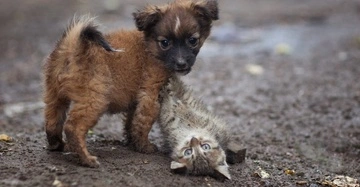 4 апреля — все об этом дне: праздники, события, традиции